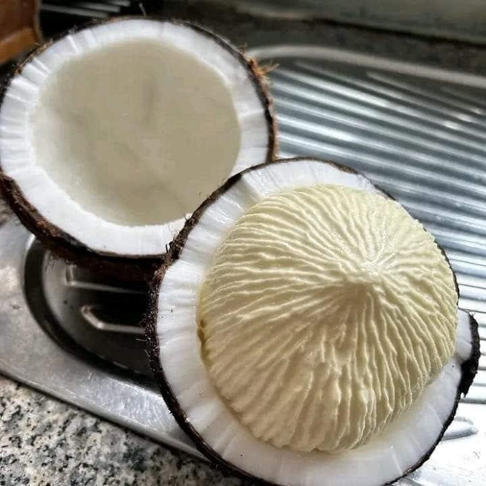 Pomme de coco