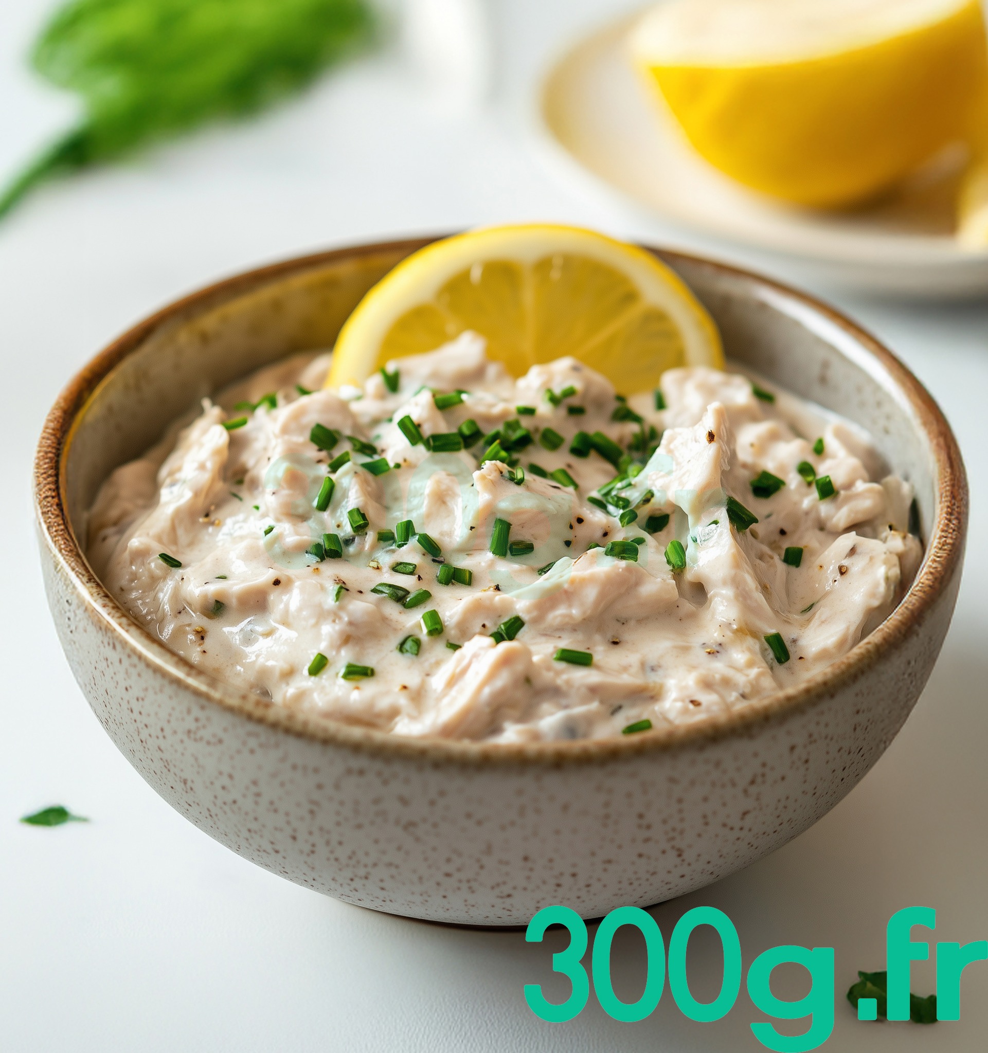 Rillettes de Poulet