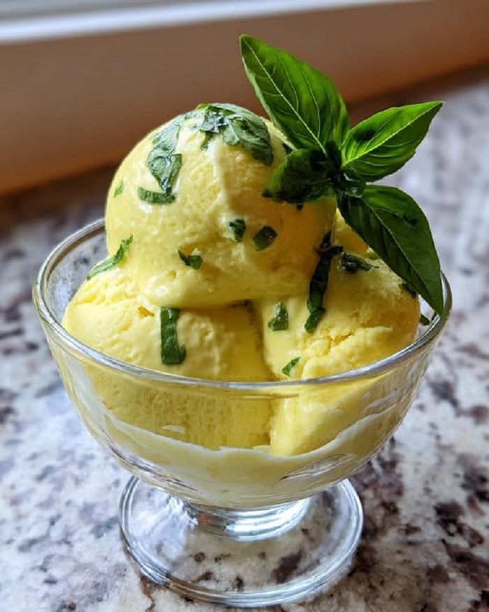 Sorbet citron & basilic maison